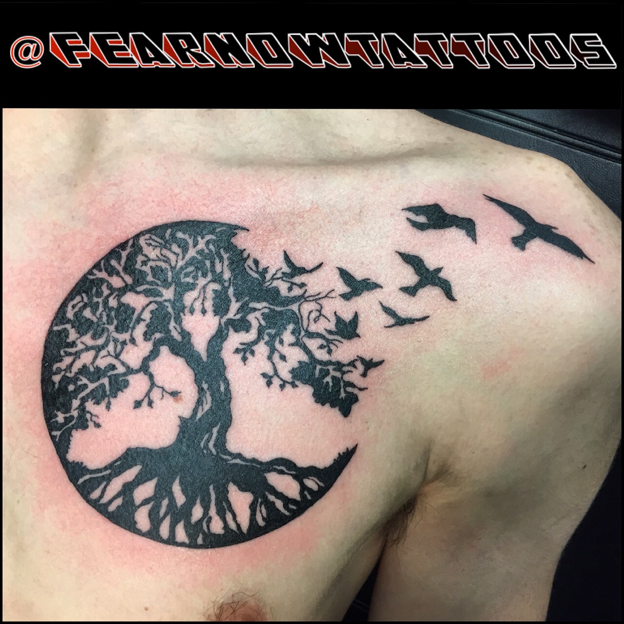 tree of life silhouette