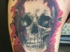 realistic shaded skull with roses