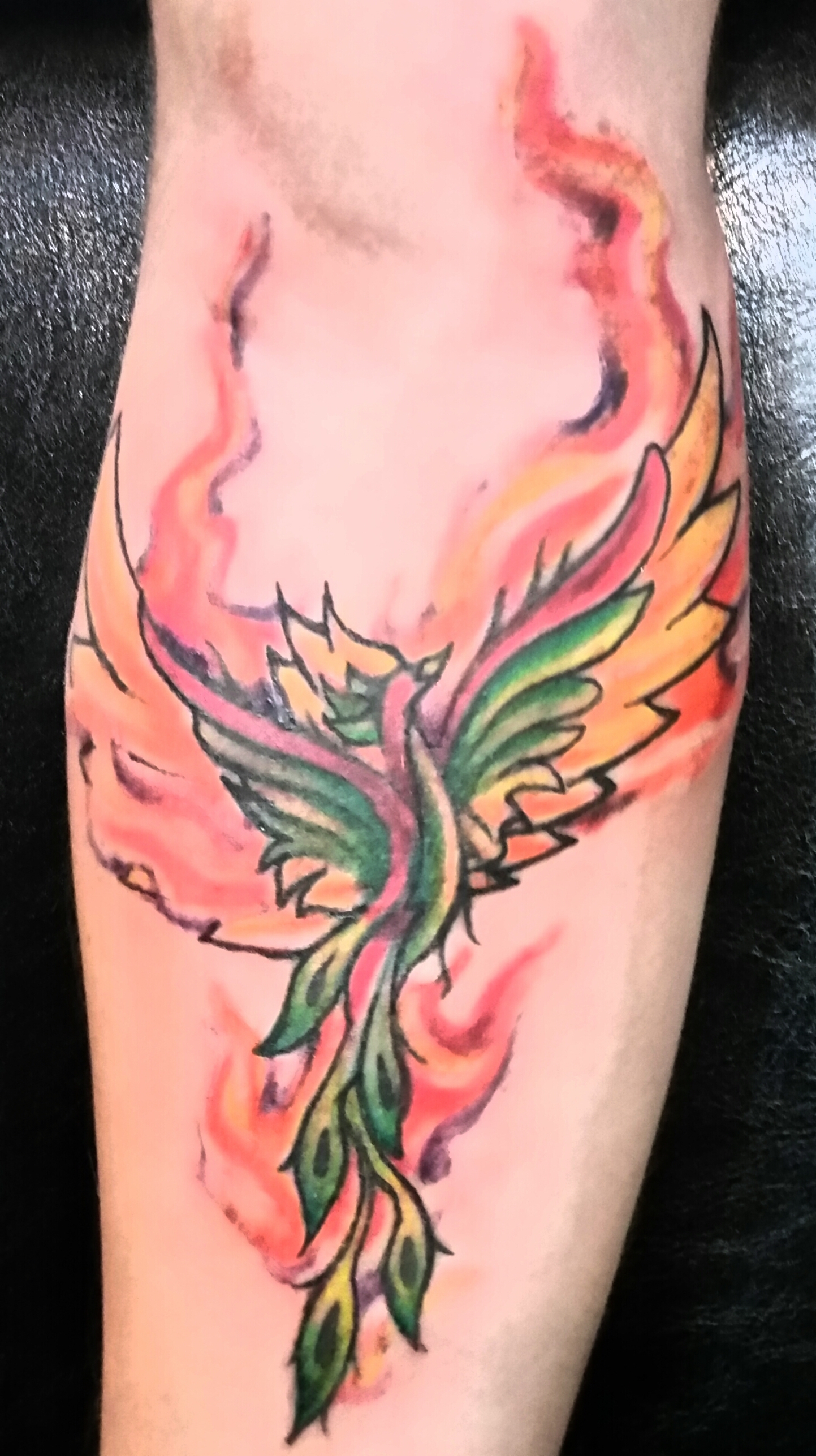 Watercolor phoenix