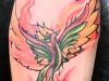 Watercolor phoenix